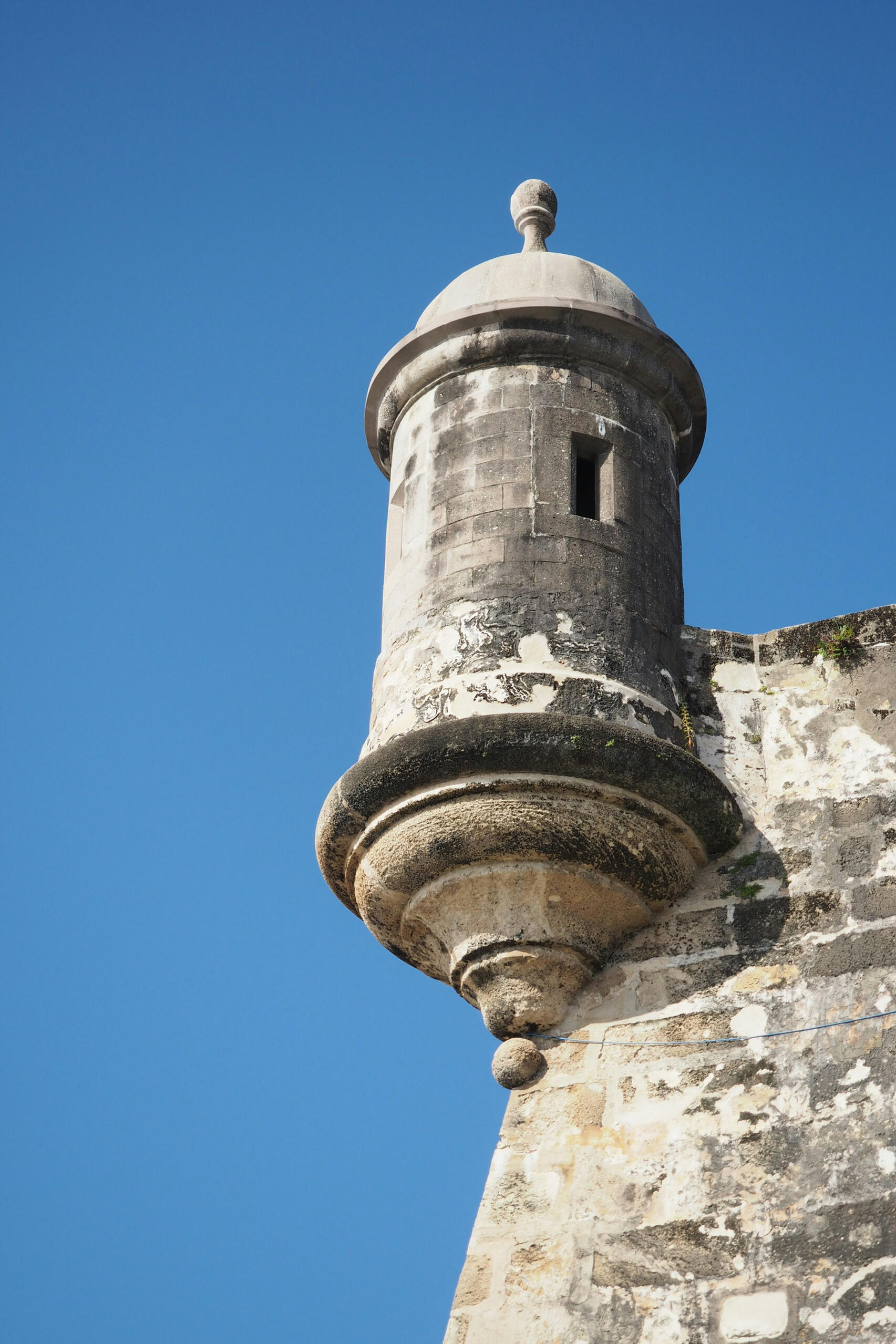 Picture by Shino Nakamura